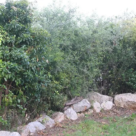 Hébergement de vacances Casa Do Farol Da Arrabida Portinho da Arrábida