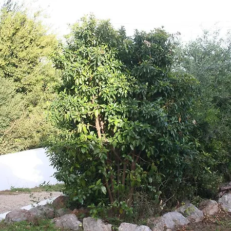 Casa Do Farol Da Arrabida *