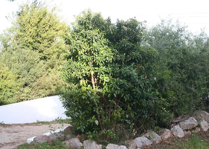 Casa Do Farol Da Arrabida *