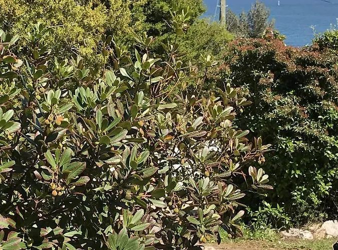 Casa Do Farol Da Arrabida Semesterbostad *